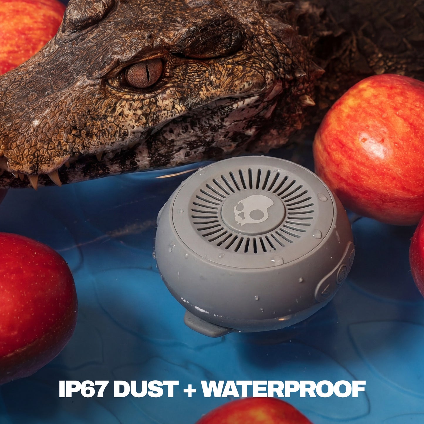 Gray waterproof speaker with crocodile and apples on a blue surface | Cement