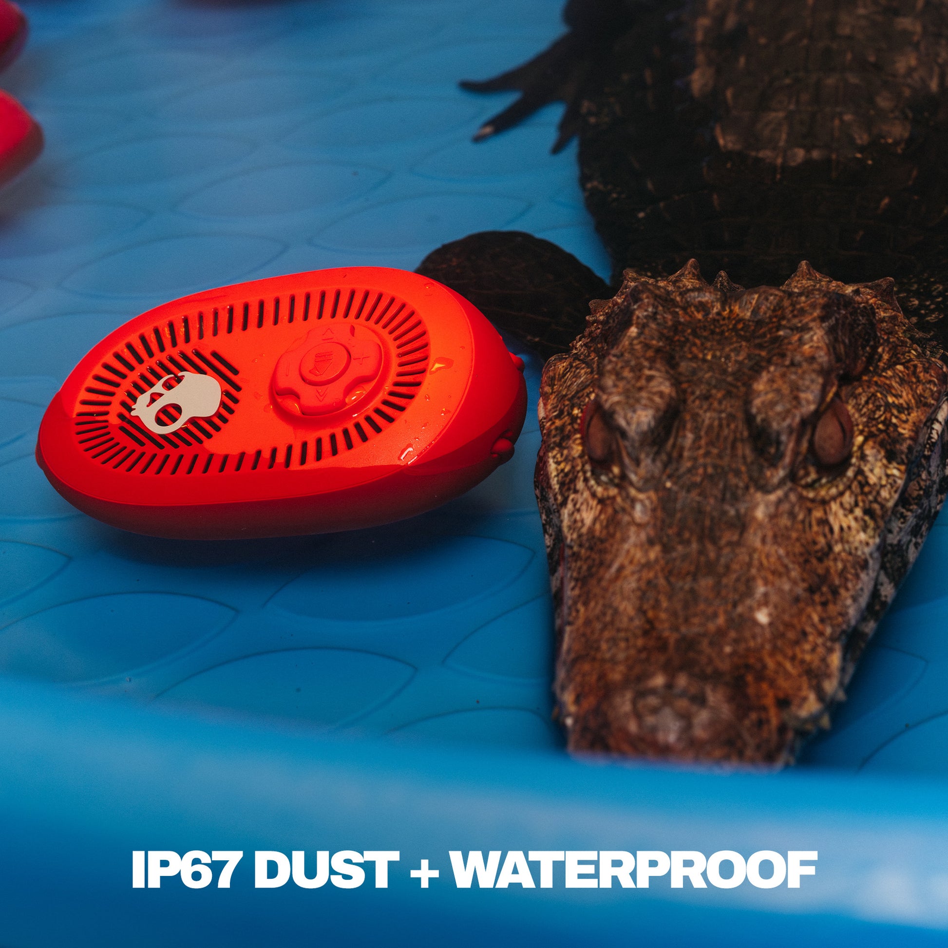 Red speaker on a blue surface with an alligator nearby, featuring 'IP67 DUST + WATERPROOF' text. | Plasma